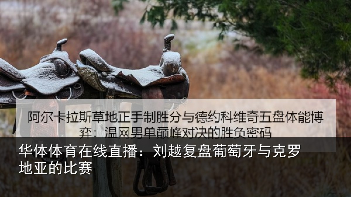 华体体育在线直播：刘越复盘葡萄牙与克罗地亚的比赛