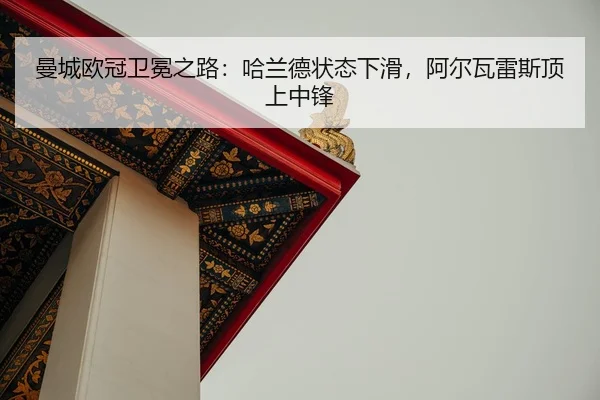man-cheng-ou-guan-wei-mian-zhi-lu-ha-lan-de-zhuang-tai-xia-hua-a-er-wa-lei-si-ding-shang-zhong-feng-2-628.jpg