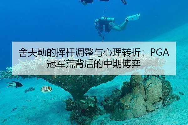 she-fu-lei-de-hui-gan-tiao-zheng-yu-xin-li-zhuan-zhe-guan-jun-huang-bei-hou-de-zhong-qi-bo-yi-3-995.jpg
